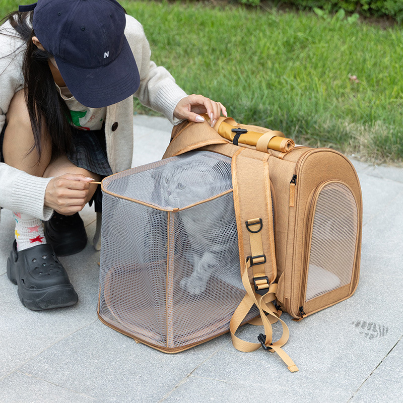 Portable cat bag, expandable l - Foldable Backpack Small recension och pris